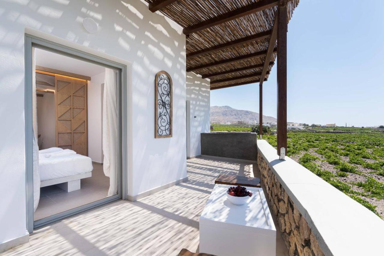 New Villa Katerina Collection Megalochori  Extérieur photo