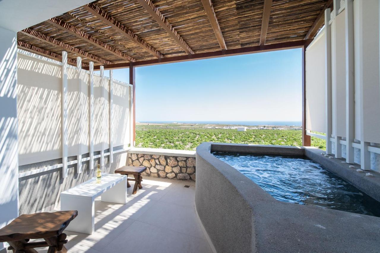 New Villa Katerina Collection Megalochori  Extérieur photo
